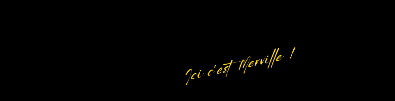 Bannière Merville Handball Club